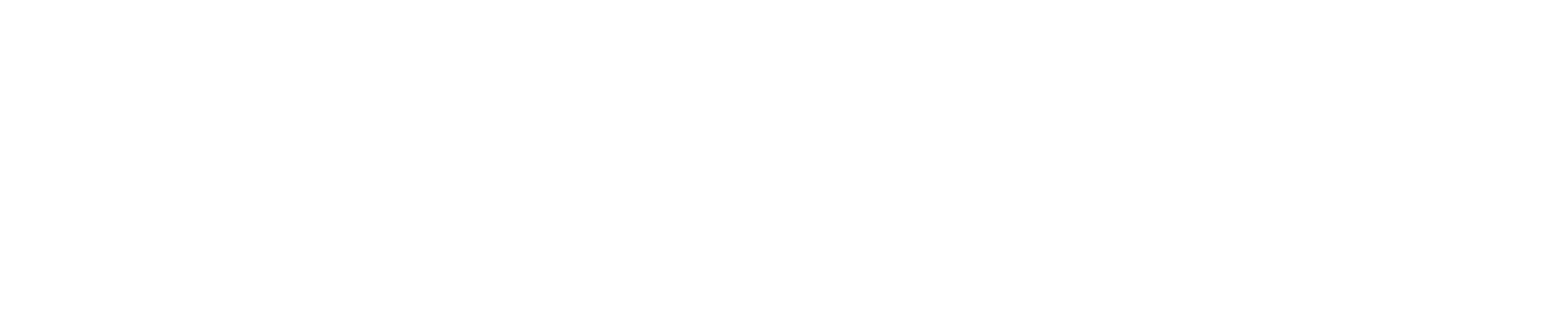vision